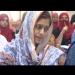 gallery video