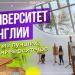 gallery video