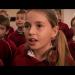gallery video
