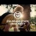 gallery video