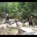 gallery video