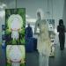 gallery video