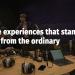 gallery video