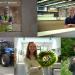 gallery video