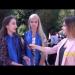 gallery video