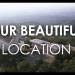 gallery video