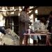 gallery video