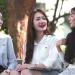 gallery video