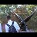 gallery video