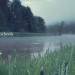 gallery video