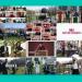 gallery video
