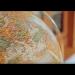 gallery video