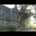 gallery video