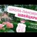 gallery video